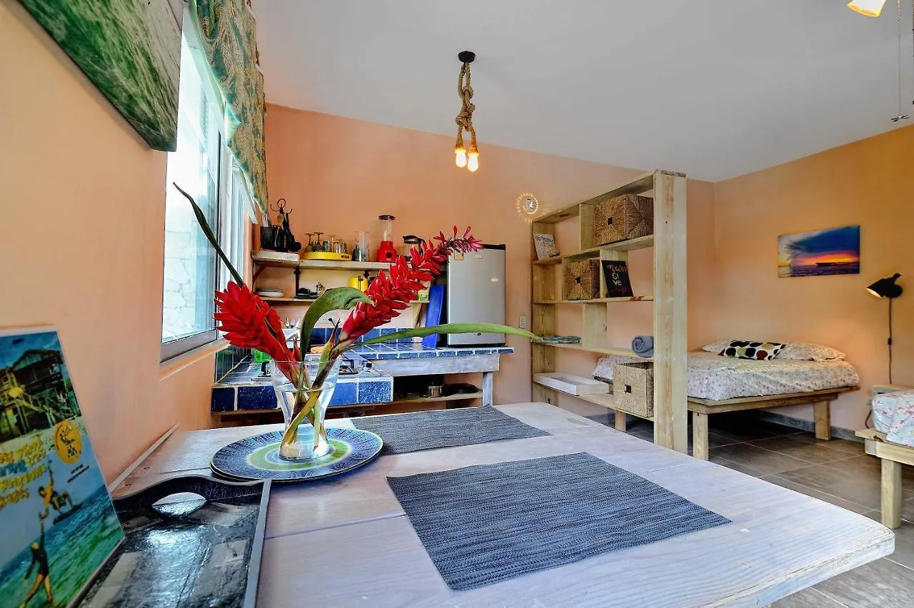 Cabarete Boutique Kite Hotel For Up To 15 People 펜션