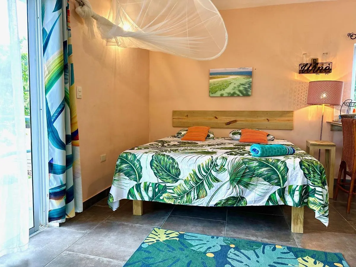 Cabarete Boutique Kite Hotel For Up To 15 People 펜션